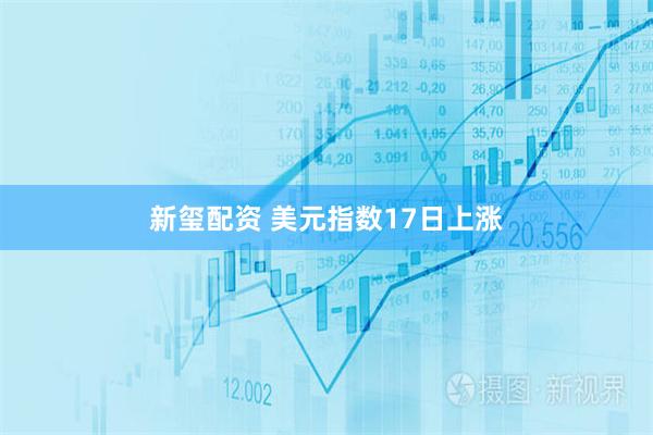 新玺配资 美元指数17日上涨