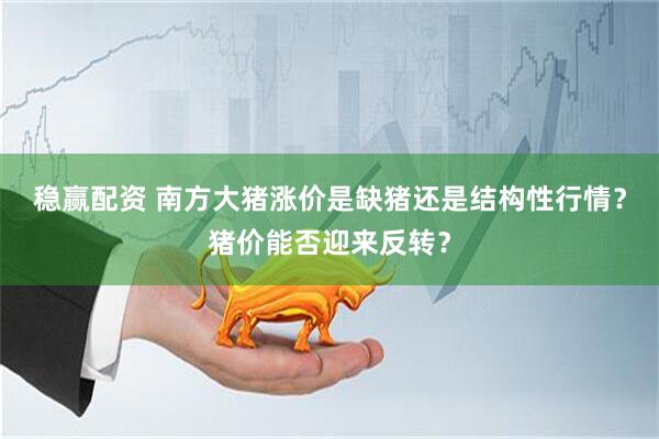 稳赢配资 南方大猪涨价是缺猪还是结构性行情?猪价能否迎来反转?