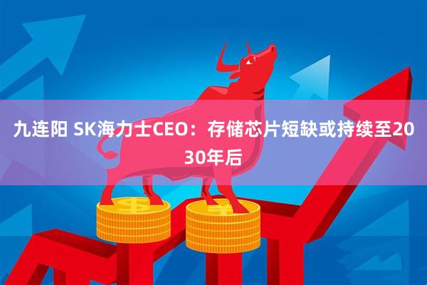 九连阳 SK海力士CEO：存储芯片短缺或持续至2030年后